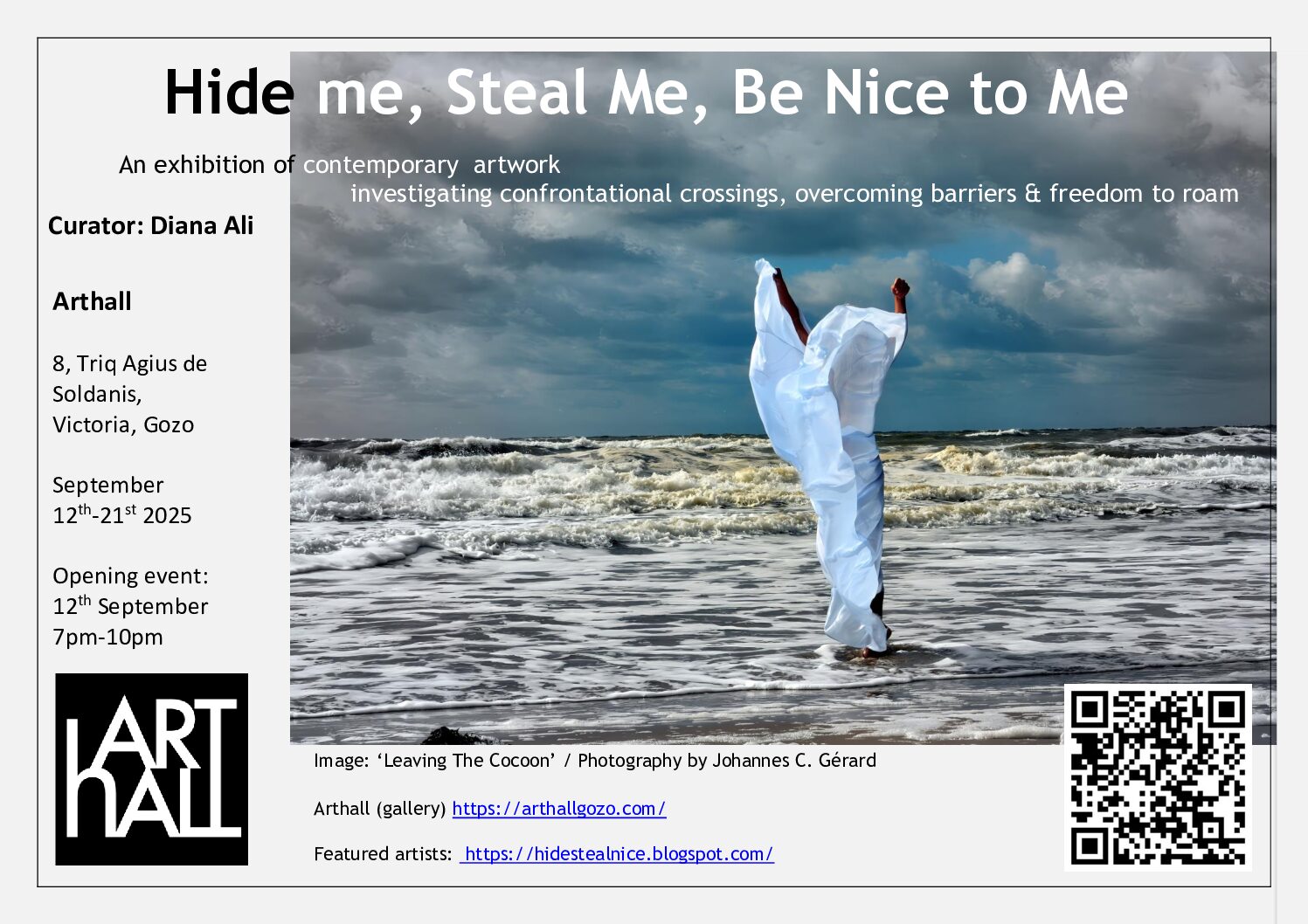 HIDE ME, STEAL ME, BE NICE TO ME, curated by Diana Ali