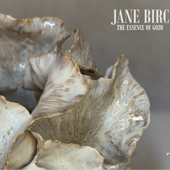 THE ESSENCE OF GOZO by Jane Birchall