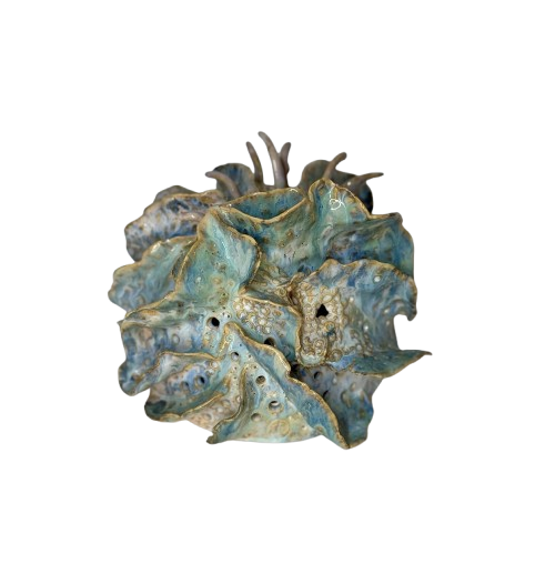 Jane Birchall - Anemone