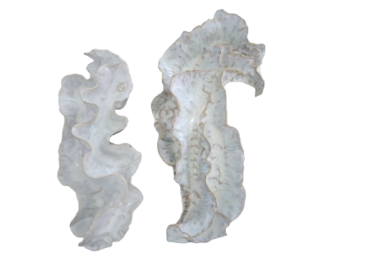 Jane Birchall - Pearl Flutter Plaques